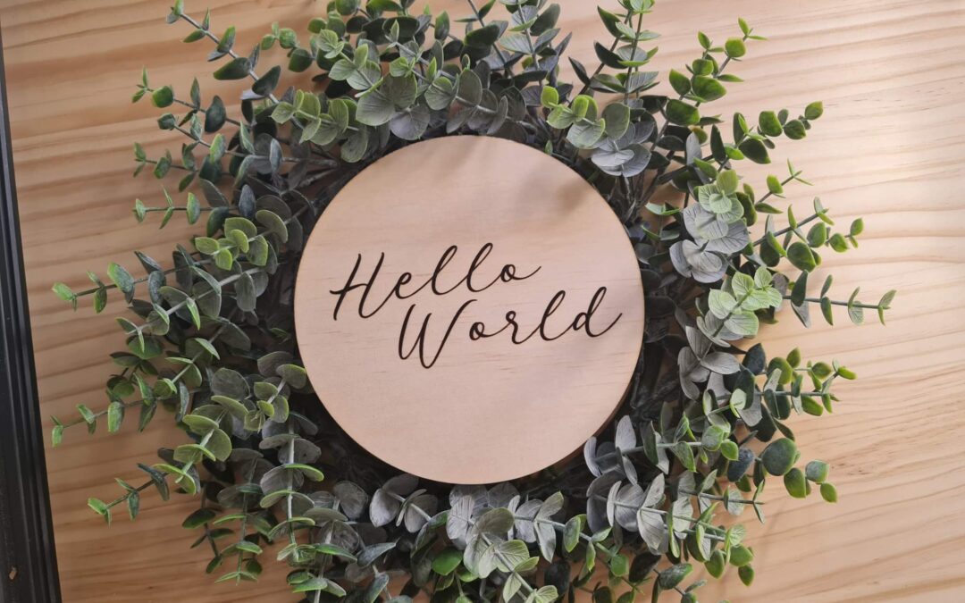 “Hello World” Baby Disc